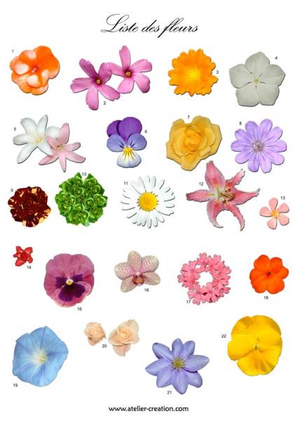 fleurs